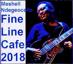Meshell Ndegeocello ミシェル・ンデゲオチェロ/MN,USA 2018 2Shows