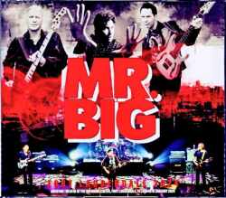 Mr. Big ミスター・ビッグ/FL,USA 2024 S & V Complete