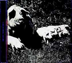 Pink Floyd ピンク・フロイド/London,UK 02.20.1972 Upgrade