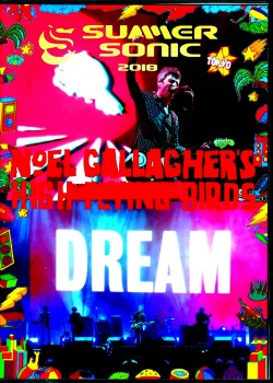 Noel Gallagher ノエル・ギャラガー/Chiba,Japan 2018 & more
