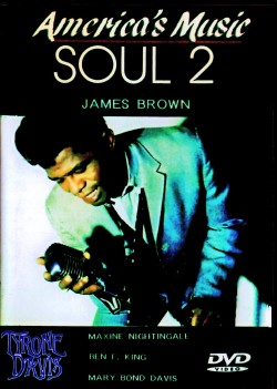 Various Artists James Brown,Ben E. King,Tyrone Davis,Maxine Nightingale/America's Music Soul Vol.2
