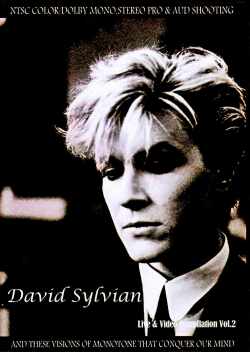 David Sylvian デヴィッド・シルヴィアン/Live & Video Compilation Vol.2