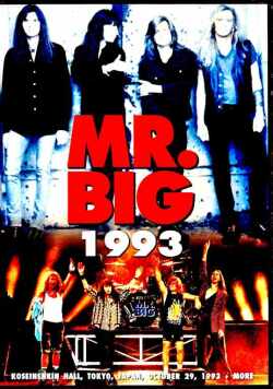 Mr. Big ミスター・ビッグ/England,UK 1993 V & S