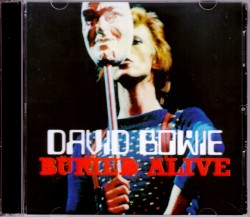 David Bowie デヴィッド・ボウイ/Ca,USA 1974