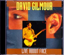 David Gilmour デヴィッド・ギルモア/PA,USA 1984