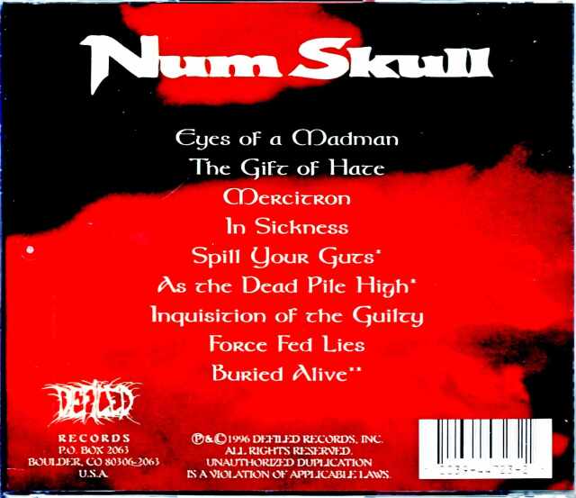 Num Skull ナム・スカル/When Suffering Comes