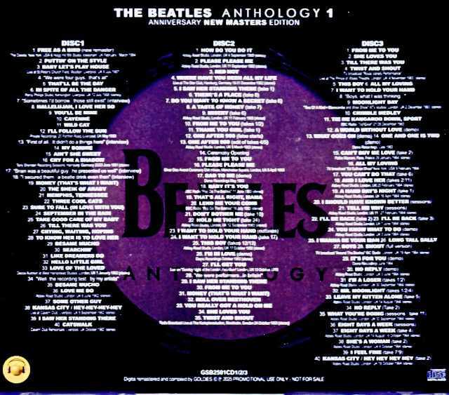 Beatles ビートルズ/アンソロジー Anthology1 30th Anniversary