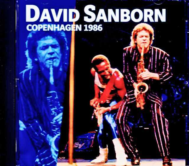 David Sanborn Hiram Bullock デヴィッド・サンボーン ハイラム