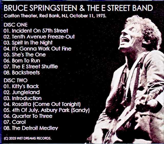 ブルース・スプリングスティーンBruce Springsteen まとめ売り Bruce Springsteen and the E Street Band ブルース・スプリングス
