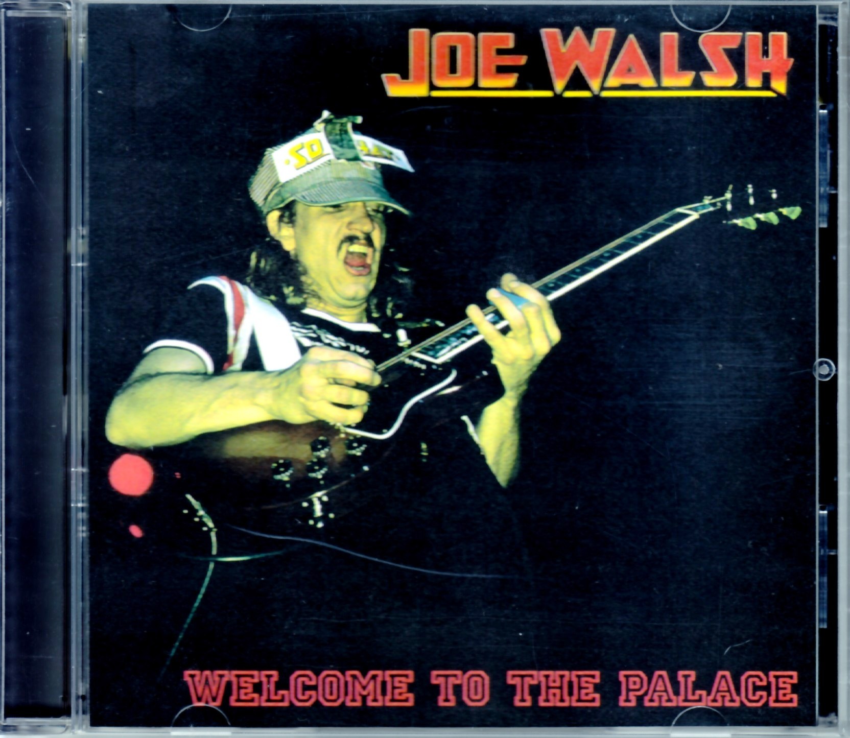 Joe Walsh ジョー・ウォルッシュ/Ri,USA 1975