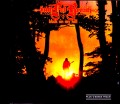 Faithful Breath フェイスフル・ブリース/Back on my Hill