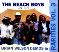 Beach Boys ビーチ・ボーイズ/Rarities 1972-1976