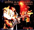 Stevie Ray Vaughan スティーヴィー・レイ・ヴォーン/OK,USA 1990