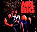 Mr. Big ミスター・ビッグ/Rare Tracks 1988-1996