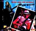 Joe Walsh ジョー・ウォルシュ/Tokyo,Japan 1980 Complete