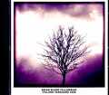 Brian Blade Fellowship Kurt Rosenwinkel ブライアン・ブレイド カート・ローゼンウィンケル/NY,USA 2008 FM Broadcast Edition