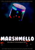 Marshmello マシュメロ/FL,USA 2019