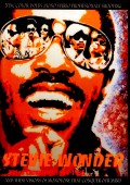 Stevie Wonder スティーヴィー・ワンダー/Video Chronicles 1964-1985