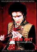 Adam Ant & the Ants アダム・アント/Live in Japan & more