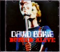 David Bowie デヴィッド・ボウイ/Ca,USA 1974