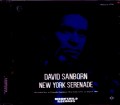 David Sanbirn デヴィッド・サンボーン/NY,USA 1994
