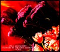 Paul McCartney ポール・マッカートニー/Flower in the Dirt Sessions Vol.2