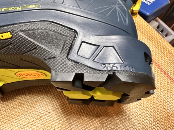 MONSTER JAPAN】SCOTTスキーブーツ