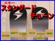 ski-standerd.png?t=20150917100003