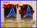 スキーエキスパートチューン