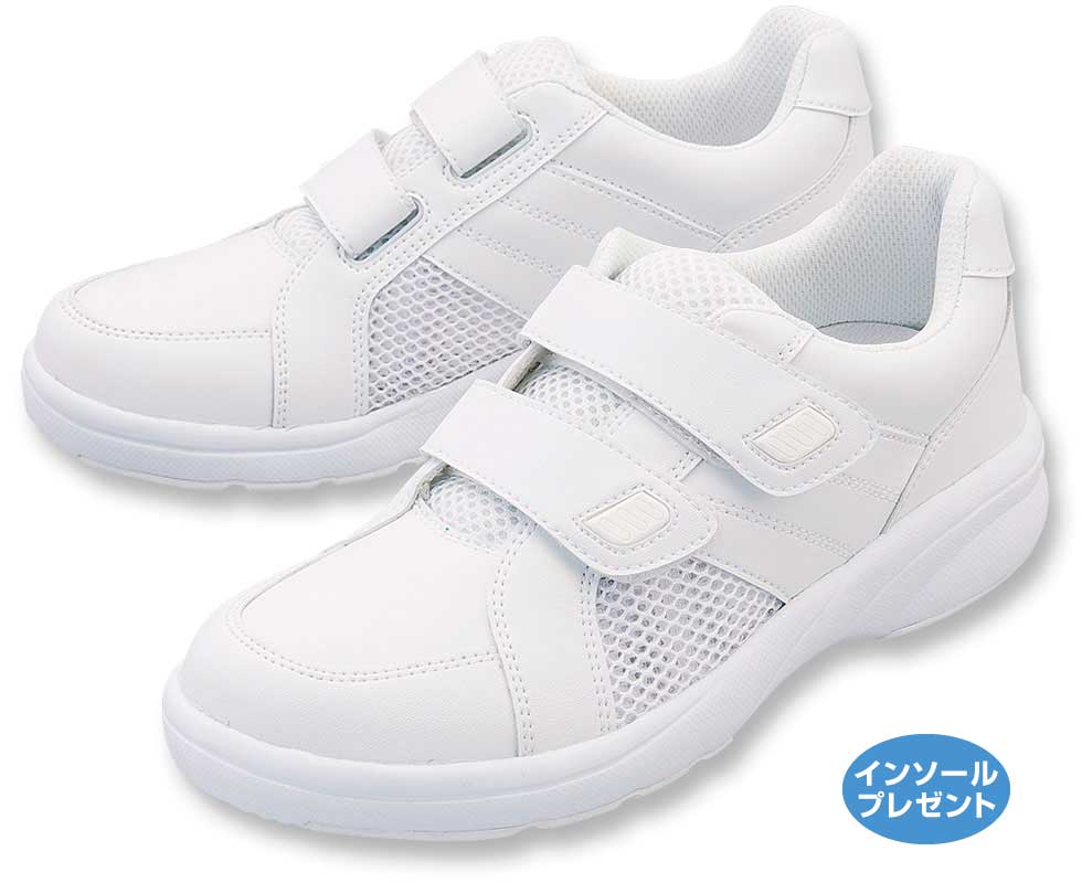 311白　インソールプレゼント