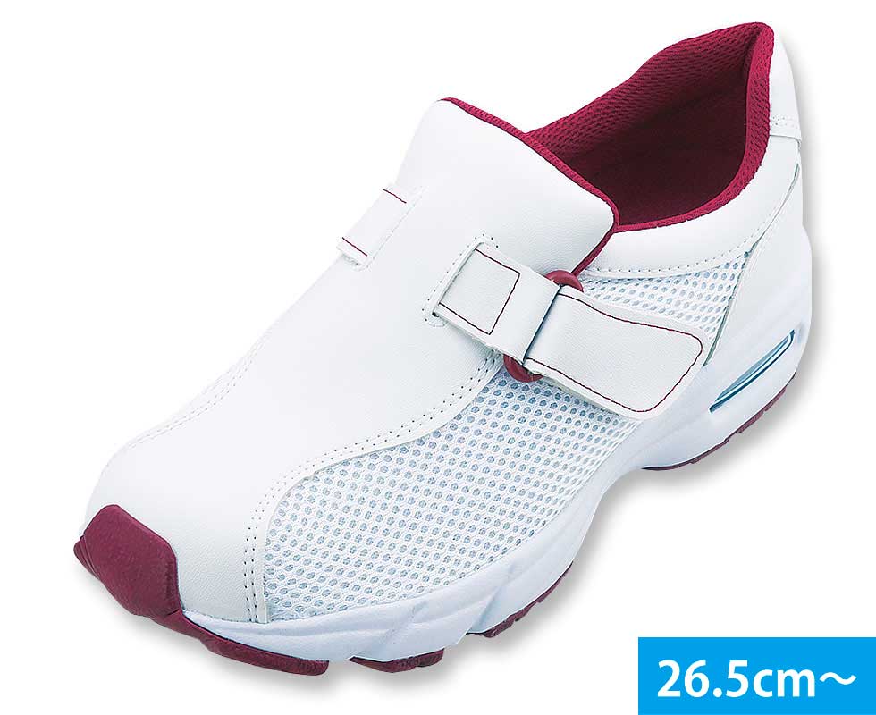 シェスタースポーツ No.533