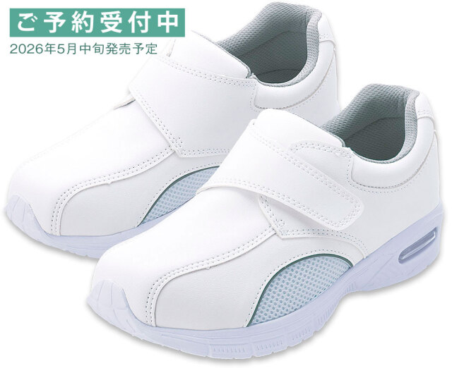 185白　基本カット予約