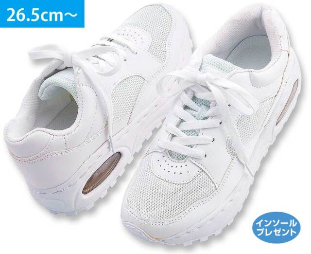 341N　インソールプレゼント