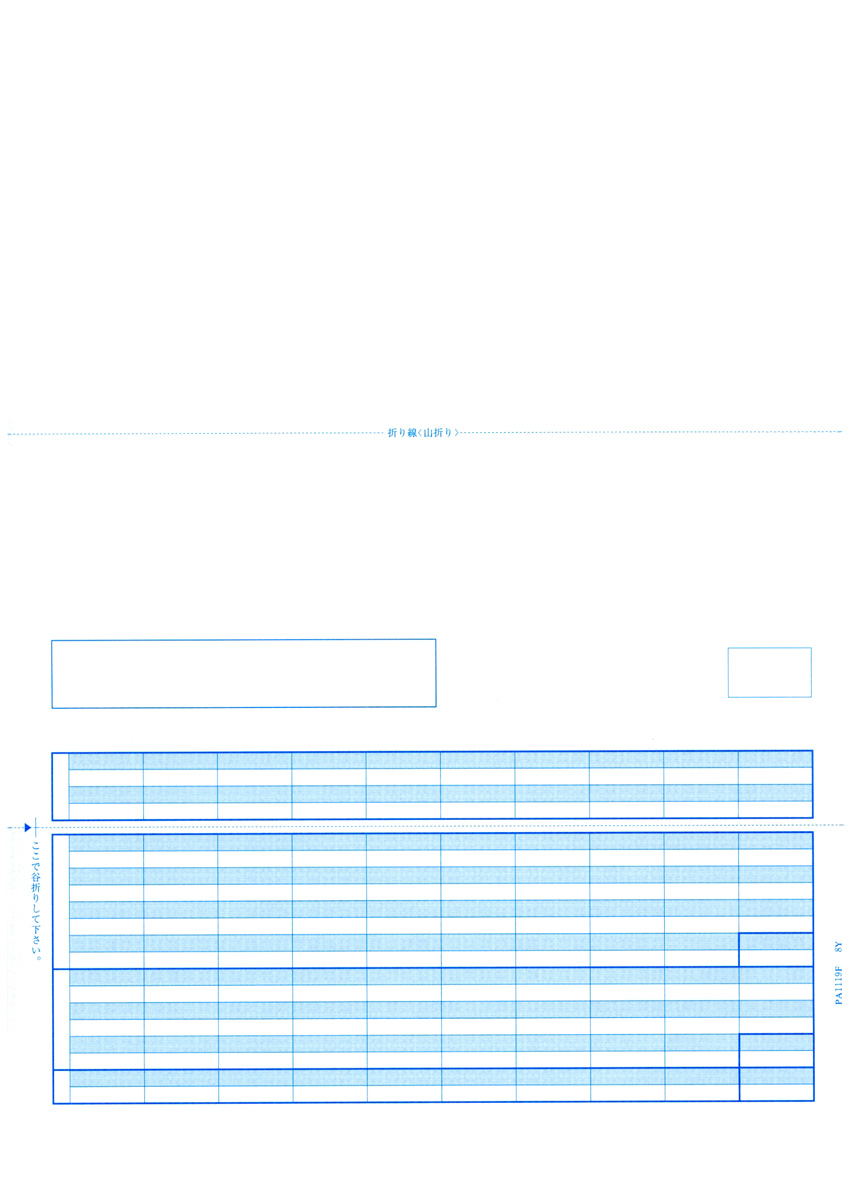 PCA PA1119G 給与明細書D 500枚