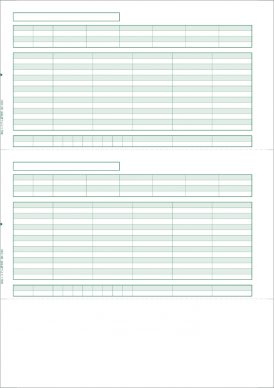 BSL BK-2002 給与明細  500枚