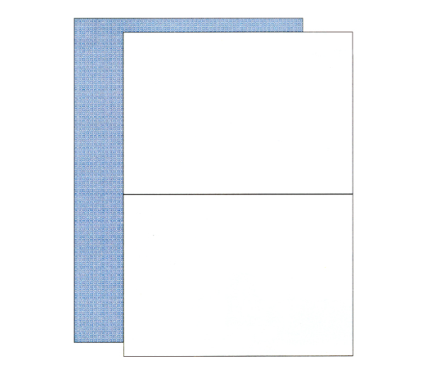 PCA PA1113G 給与明細書A(罫線なし) 500枚