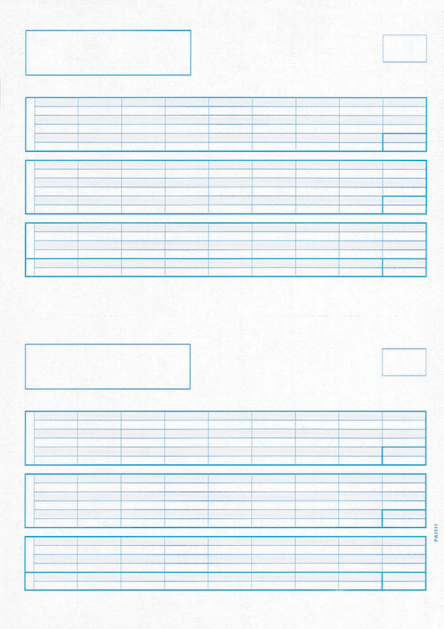 PCA PA1111G 給与明細書A 単票(罫線つき) 500枚