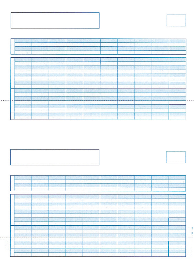 PCA PA1115G 給与明細書B 単票(罫線つき) 500枚