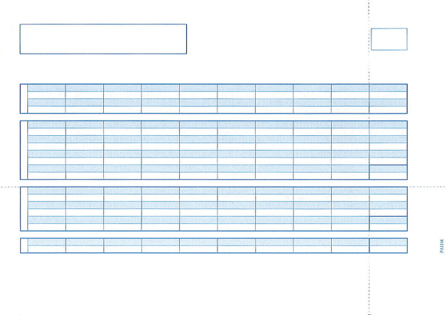 PCA PA1116G 給与明細書C 単票 500枚