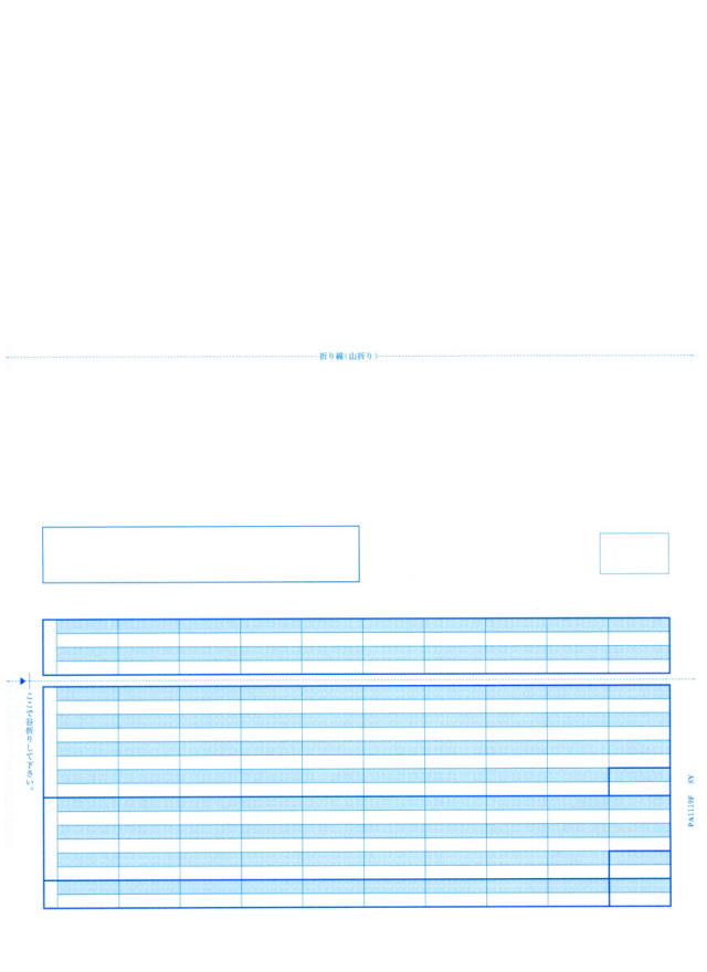 PCA PA1119G 給与明細書D 500枚