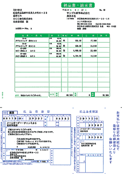 ソリマチ SR361 納品書・払込取扱票Ｂ 500枚 