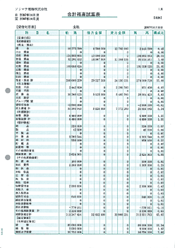 ソリマチ SR4501 合計残高試算表 500枚 