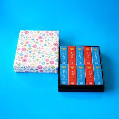チョコ羊羹詰合せ WD 10本入【オンライン販売期間:2/12から3/12AM】 森八 オンラインショップ