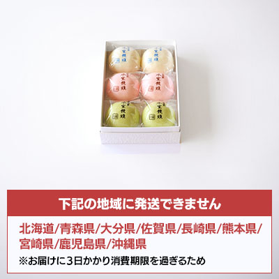 【6/25より発送】氷室饅頭 6個入【オンライン販売期間：5/6から6/28AM】
