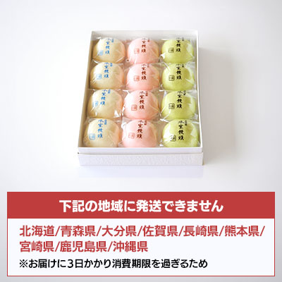 【6/25より発送】氷室饅頭 12個入【オンライン販売期間：5/6から6/28AM】