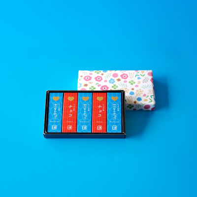 チョコ羊羹詰合せ WD 5本入【オンライン販売期間：2/12から3/12AM】