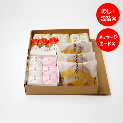 【オンラインショップ限定】ご自宅セット G