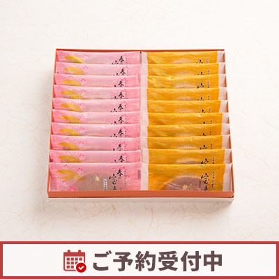 宝達 16個入 森八 オンラインショップ