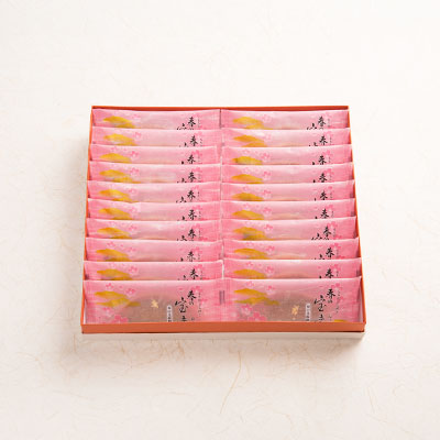 春の宝達 20個入