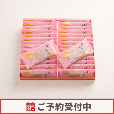 【2/1より発送】春の宝達 30個入